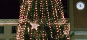 Luminarie - cordonate luminose applicate su Albero di Natale