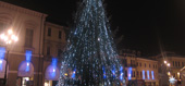 albero con microluce bianco led